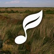 Podcast Mello Relaxing Music