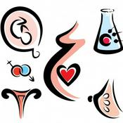 Podcast Mes 1-Embriologia