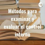 Podcast MÉTODOS PARA EXAMINAR Y EVALUAR EL CONTROL INTERNO