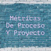 Podcast Métricas De Proceso Y Proyecto