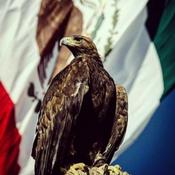 Podcast México en la piel