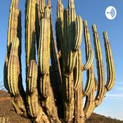 Podcast México, historia y situación actual