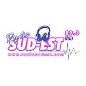 Podcast Midi Politique