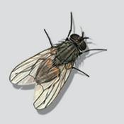 Podcast Music Buzzz Podcast - Music Interviews, Commentary & History