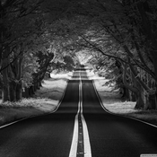 Podcast My Actual Podcast Known As Lomin