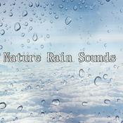 Podcast Nature Rain Sounds