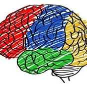 Podcast Neurotransmisores Y Lobulos Cerebrales