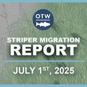 Podcast Striper Migration Reports