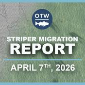 Podcast Striper Migration Report