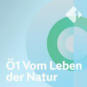 Podcast Ö1 Vom Leben der Natur