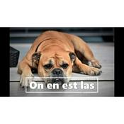 Podcast On en est las