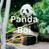 Podcast Panda Boi