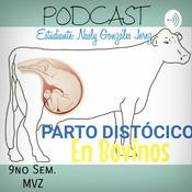Podcast Parto Distócico MVZ 🐮🐄💛