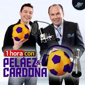 Podcast Peláez y Cardona | PIA Podcast