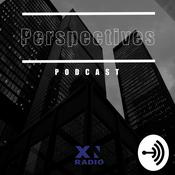 Podcast Perspectives