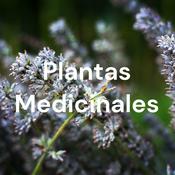 Podcast Plantas Medicinales