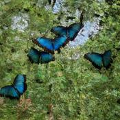 Podcast Podcast Marilyn