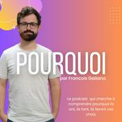 Podcast Pourquoi ! Le podcast qui explore la prise de décision.