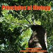 Podcast Principles of Biology