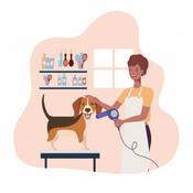 Podcast Promotora Voluntaria De Los Animales