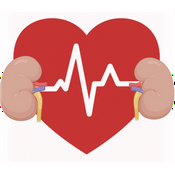 Podcast Pump the nephron