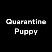 Podcast Quarantine Puppy
