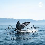 Podcast ¿Quieres saber más sobre las Ballenas?