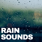 Podcast Rain Sounds for Sleep, Deep Sleep & Meditation, Thunderstorms, Calm Background Noise