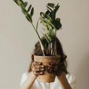 Podcast Raíz amorosa