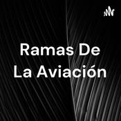 Podcast Ramas De La Aviación