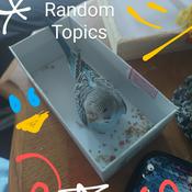 Podcast Random topics With Luna