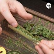 Podcast Regulación Y Control De La Marihuana Para Uso Adulto En Colombia.