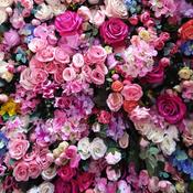 Podcast Adult StoryTimes