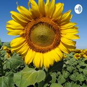 Podcast roshafizah