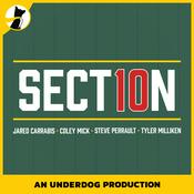 Podcast Section 10