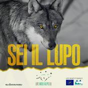 Podcast SEI IL LUPO