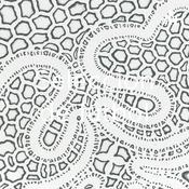 Podcast Selección de fútbol