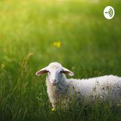 Podcast Semenjana Aja