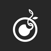 Podcast Semilla Veracruz Podcast