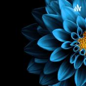 Podcast Semillas Para El Despertar