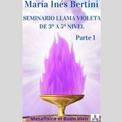 Podcast Seminario Llama Violeta y Decretos - Parte 1