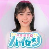 Podcast 杉原鈴菜のパイセン