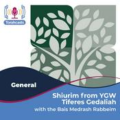 Podcast Shiurim from the Bais Medrash of YGW - Tiferes Gedaliah