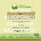 Podcast SISTEMA AEROPÓNICO CASERO DE BAJO COSTO
