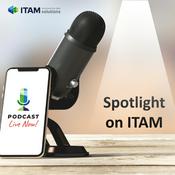 Podcast Spotlight on ITAM