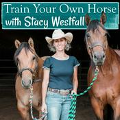 Podcast Train Your Own Horse with Stacy Westfall