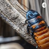 Podcast Stories Of A Pest Control Tech