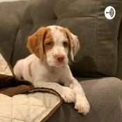 Podcast Teachnow April 2020