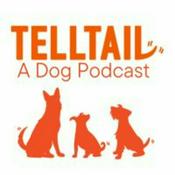 Podcast Telltail Dog
