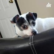 Podcast Fun times with shacraycray